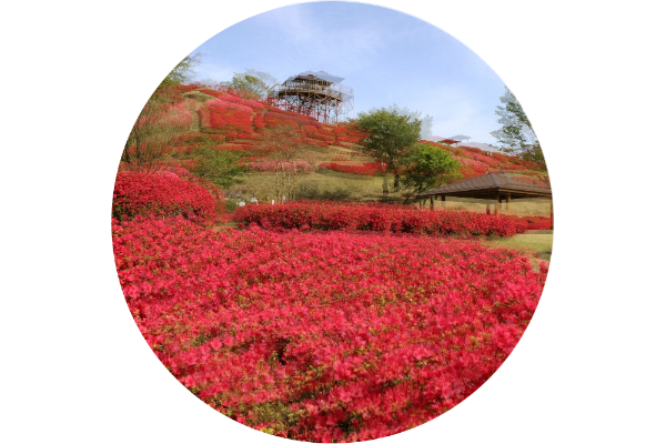 二重・三重に見える