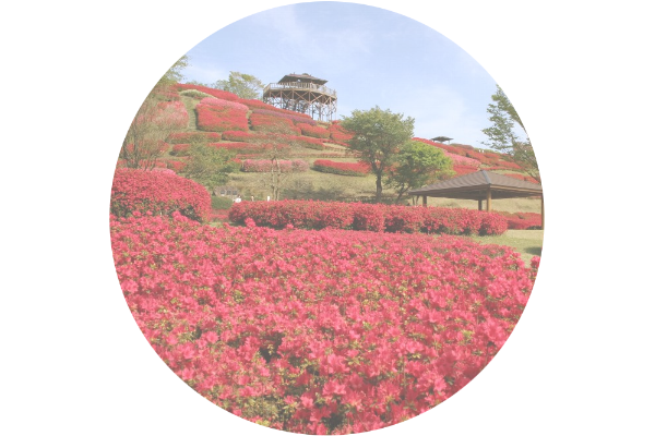 まぶしい