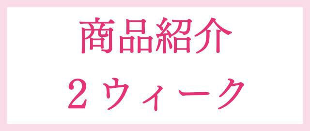 商品紹介
